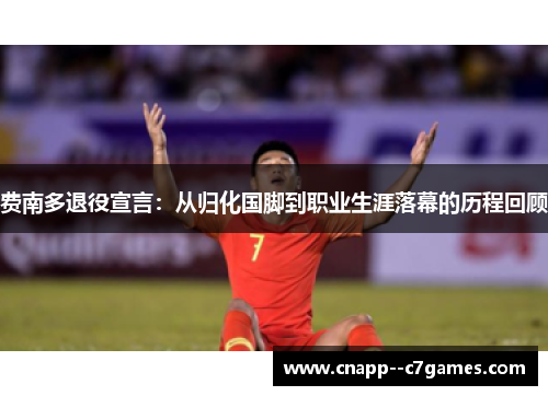 费南多退役宣言：从归化国脚到职业生涯落幕的历程回顾